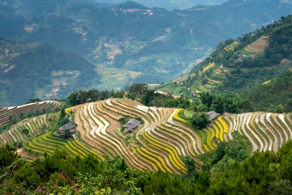 The North Vietnam itinerary offers a rich journey into the country’s cultural heritage and diverse regional landscapes (Source: Pexels)